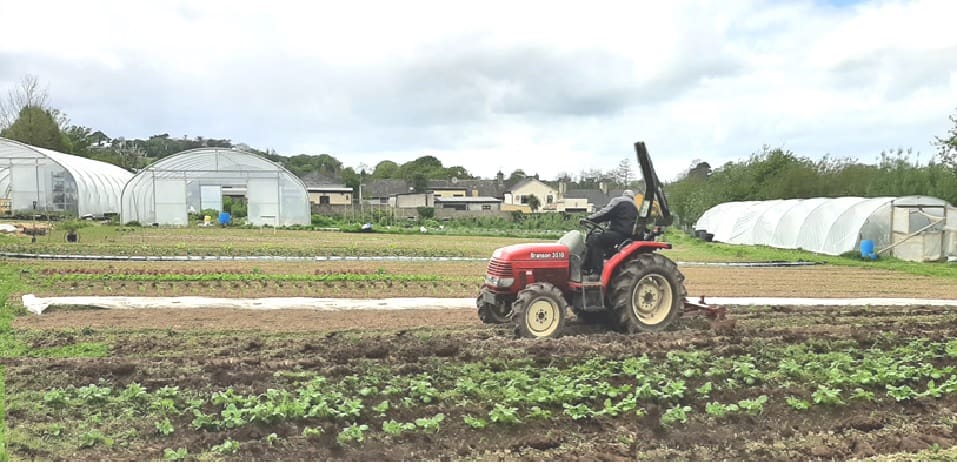 Enroll in Organic College’s Horticulture Courses