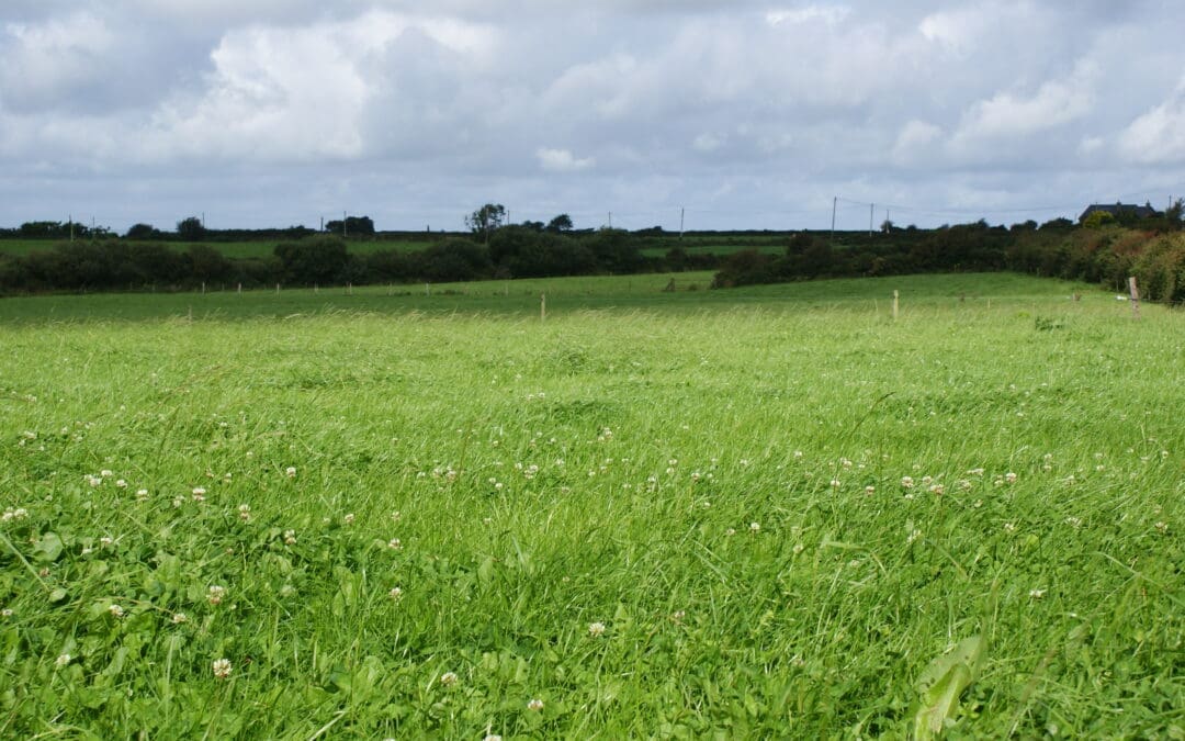 Important Opportunity to Avoid BISS Application Penalties