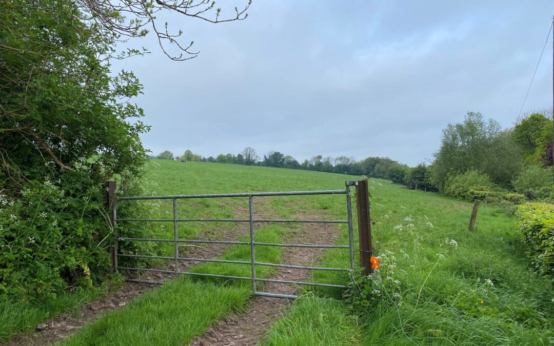 Further Extension Announced to the National Liming Programme