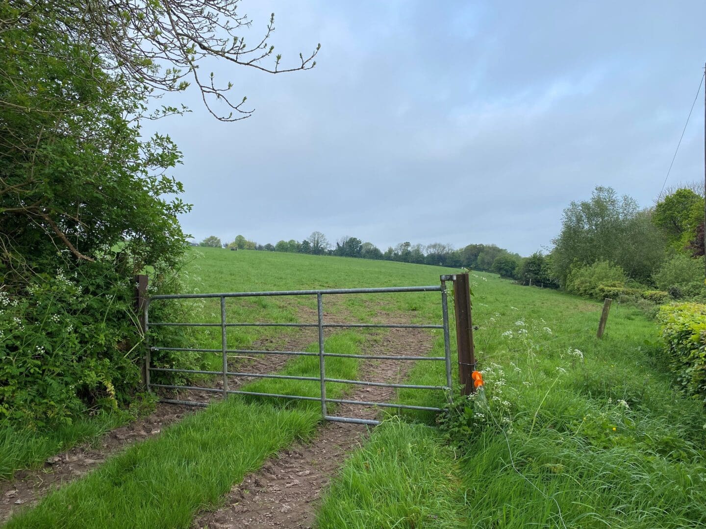 Gate to Grass Field National Liming Programme