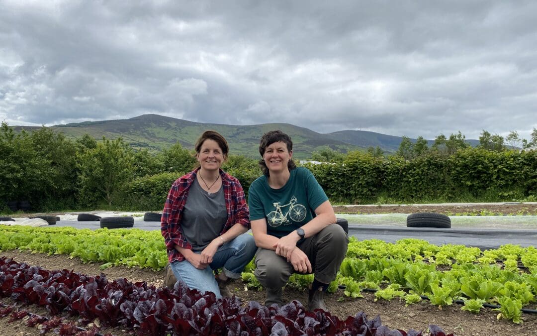 Demonstrating The Value of Small-Scale Food Production