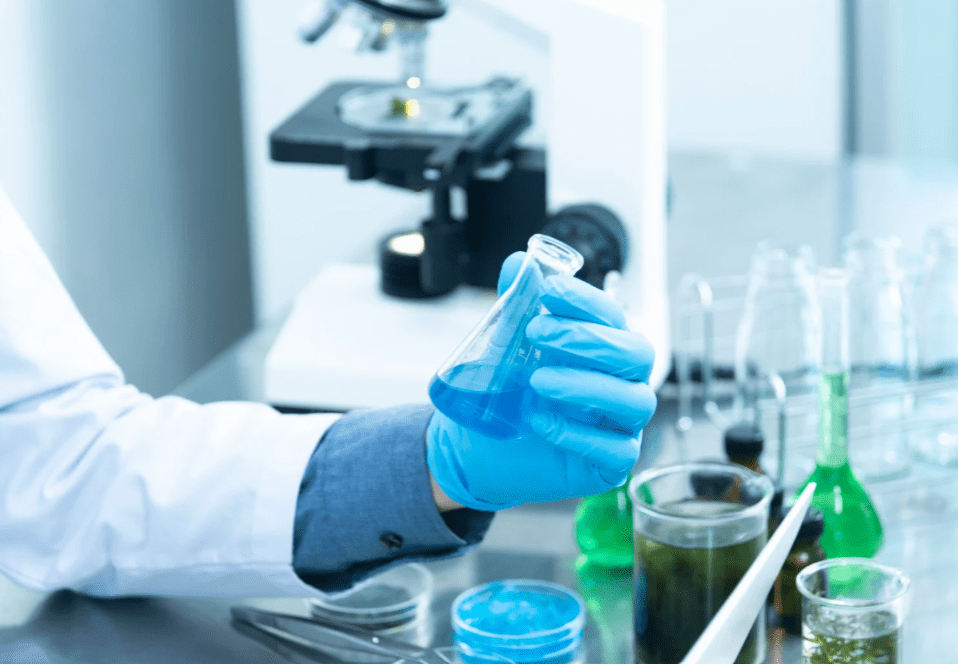 New Research Grants Announced for 21 Projects