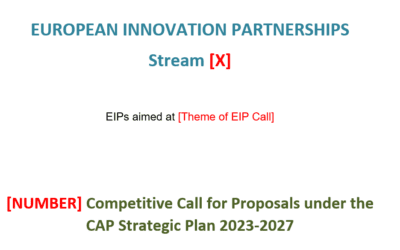EIP Guidelines For Open Call Phase 2