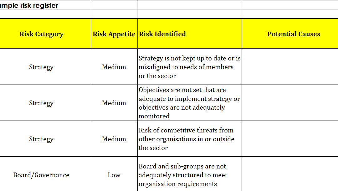 Risk Management Assessment
