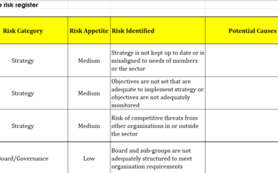 Risk Management Assessment