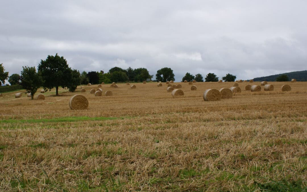 Baling Assistance Payment Scheme Launched to Boost Fodder Reserves