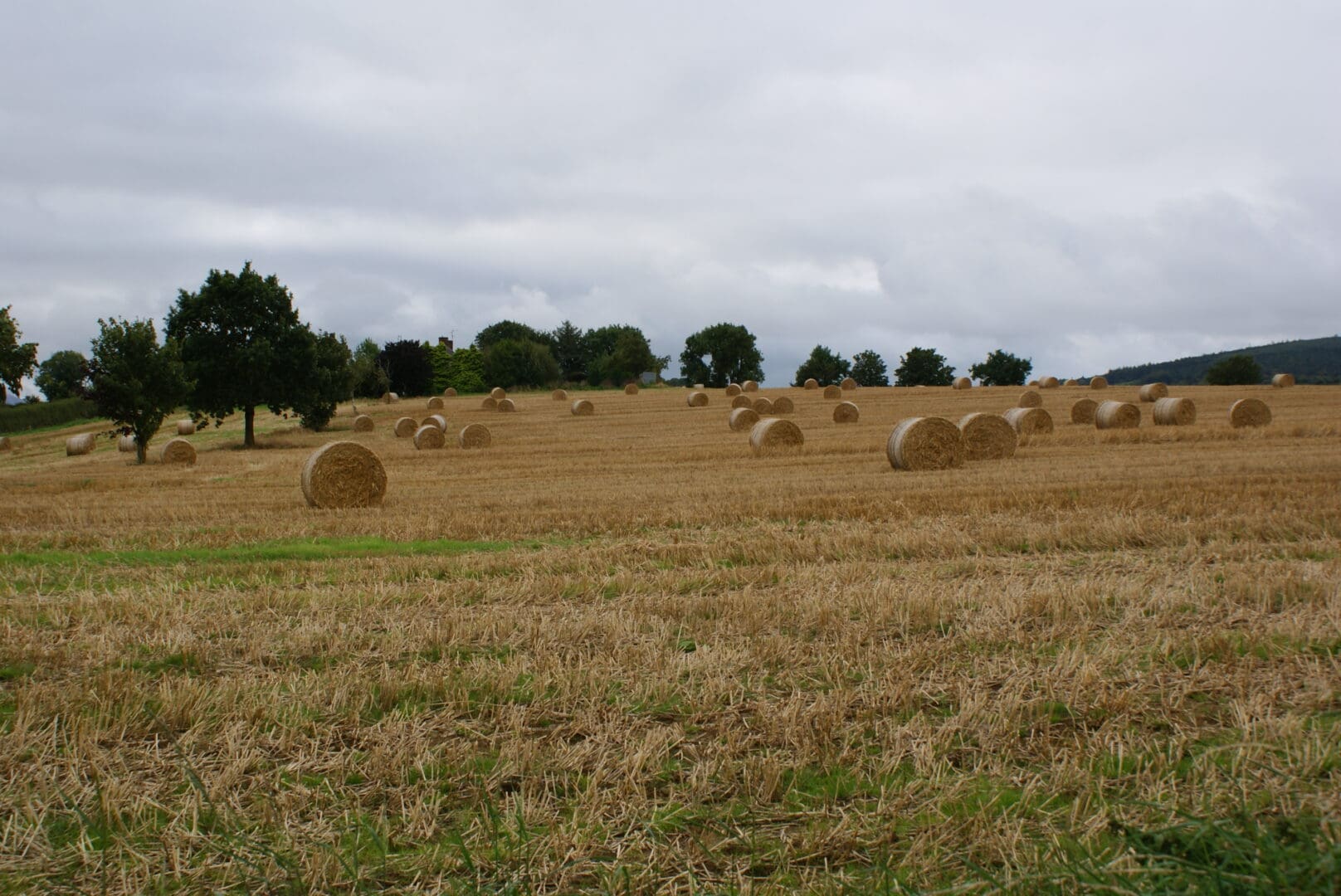 Baling Assistance Payment Scheme