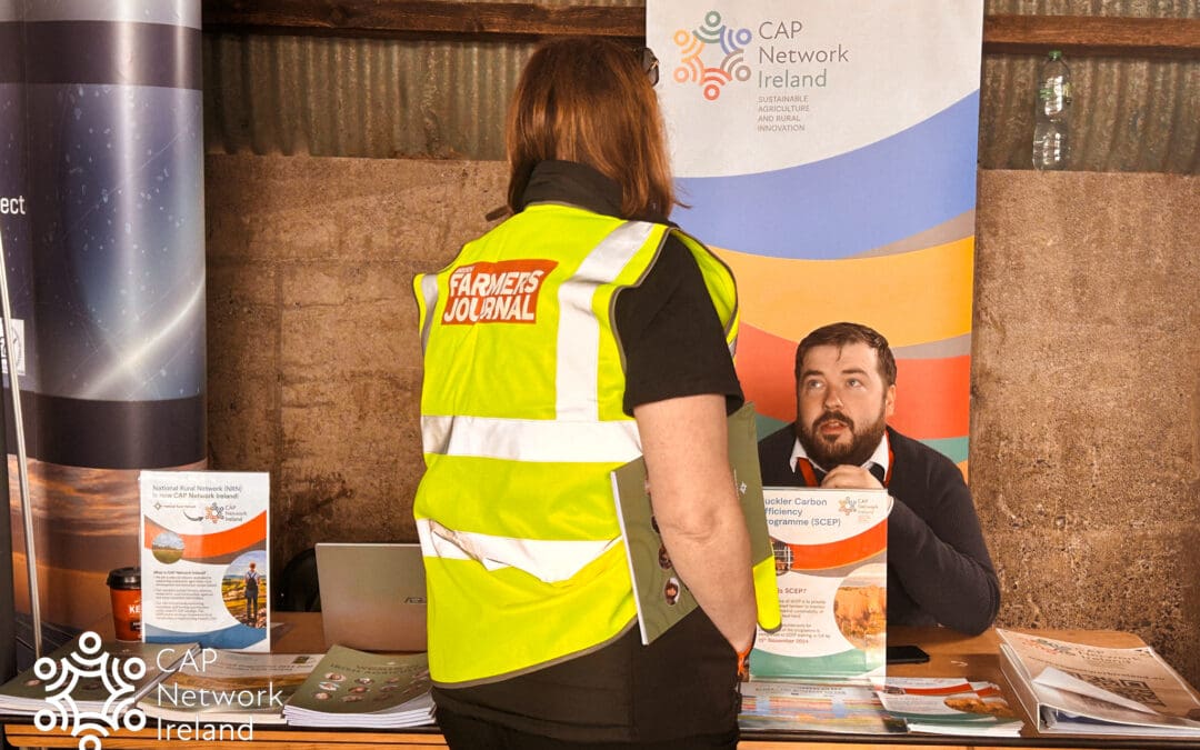 Tullamore Farm Suckler and Sheep Open Day