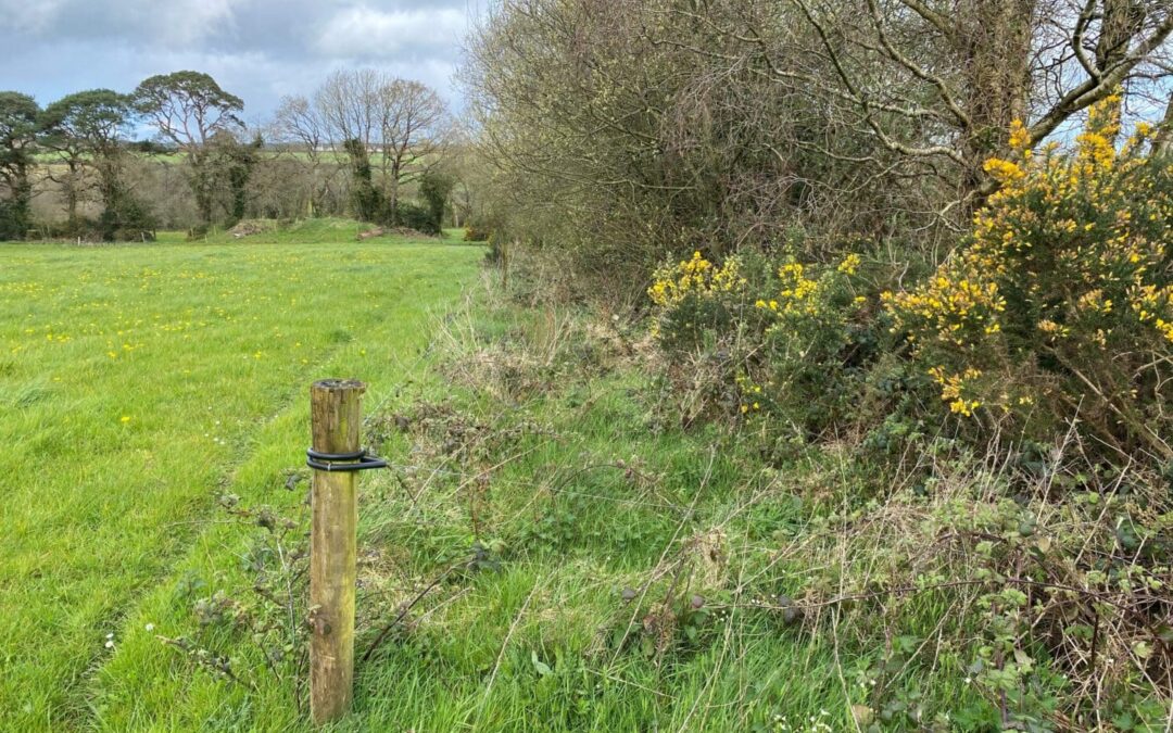 Most ACRES Balancing Payments to be made in September