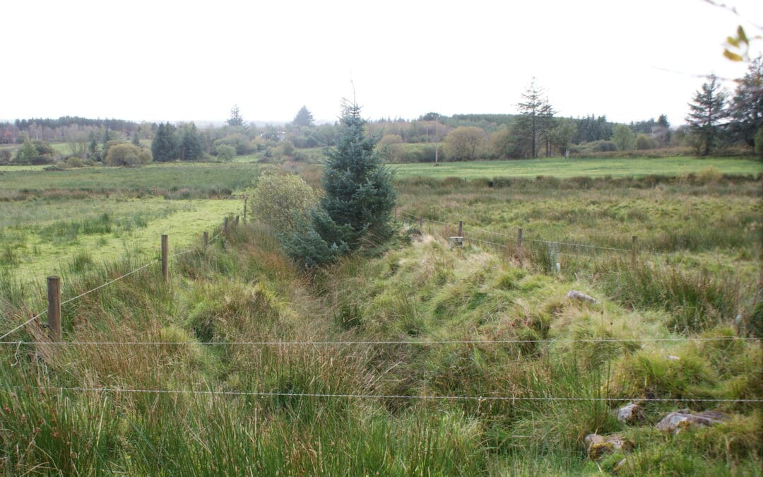 ACRES Training Scheme Reopens