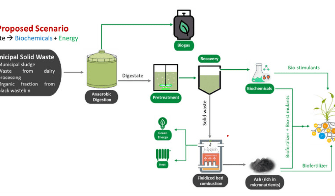 Innovative Projects Shaping the Future of the Bioeconomy