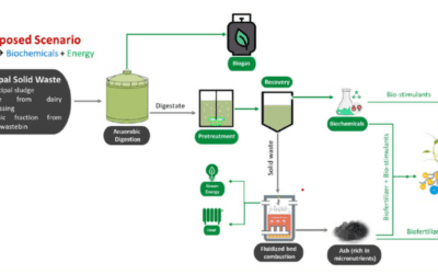 Innovative Projects Shaping the Future of the Bioeconomy