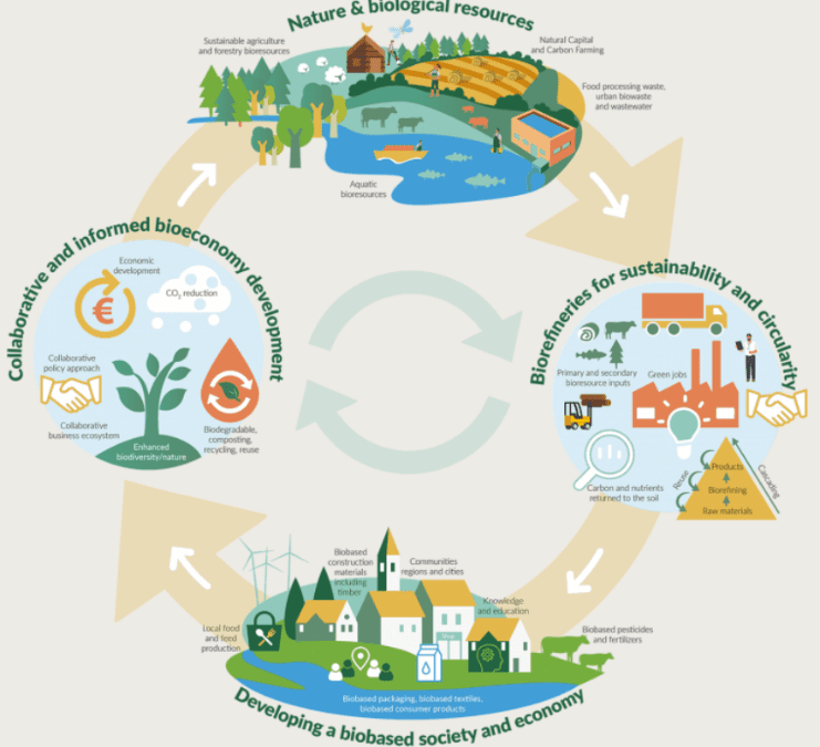 Enhancing Circular Practice – Evidence from the Agri-Food Sector