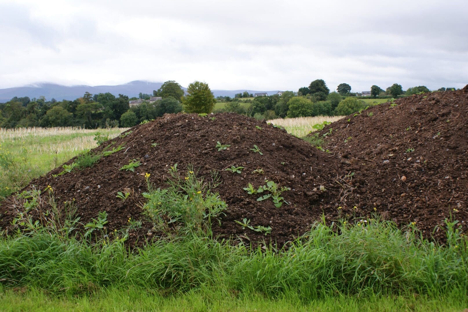 Important Dates For March