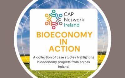 Bioeconomy in Action: Case Studies