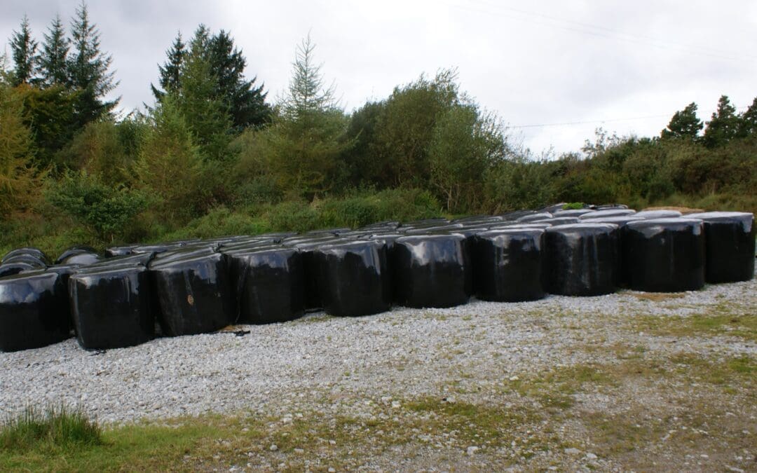 Fodder Transport Support Measure Payments Begin