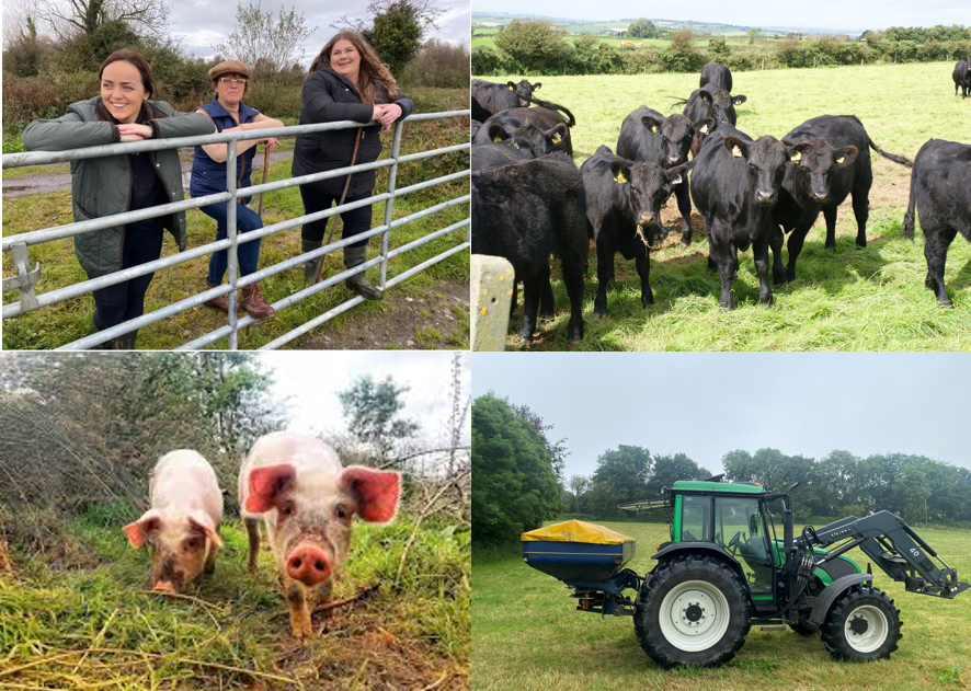 Four New EIP Projects Announced