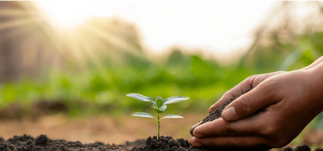 Commission on Generational Renewal in Farming Established