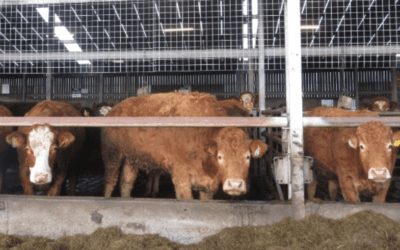 Important Dates for November and December 2024