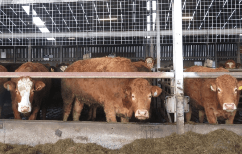 Important Dates for November and December 2024