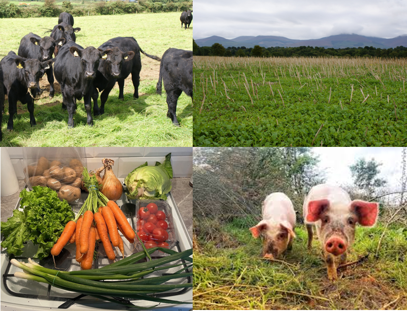 Organic Farming Scheme Reopens to New Applicants