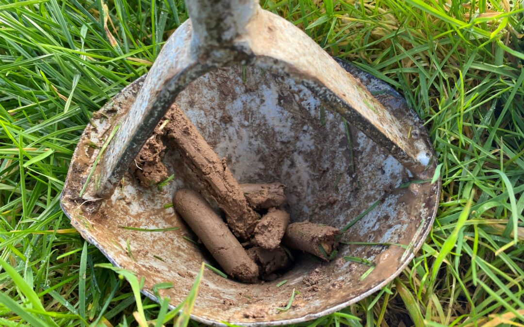 Soil Sampling and Analysis Programme Phase 3 Opens