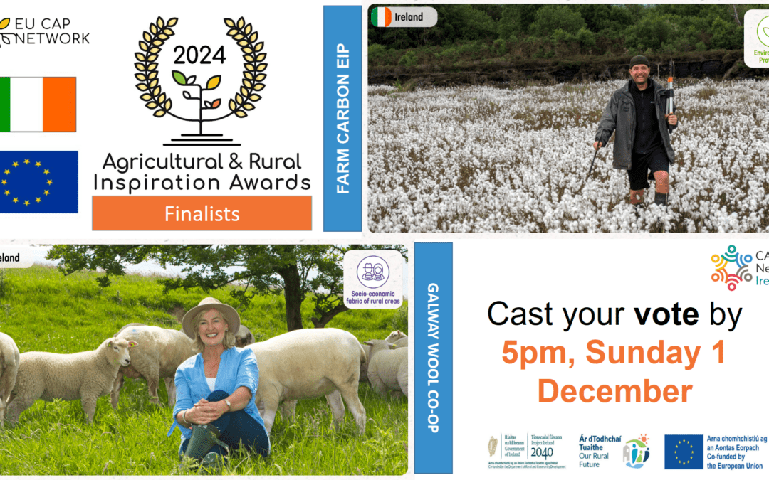 Vote for your Favourite Irish Finalist in EU Awards