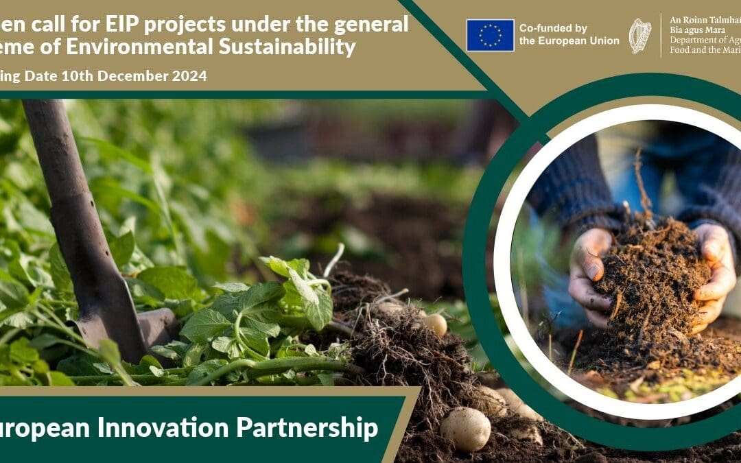 Call for Environmental Sustainability EIP Projects