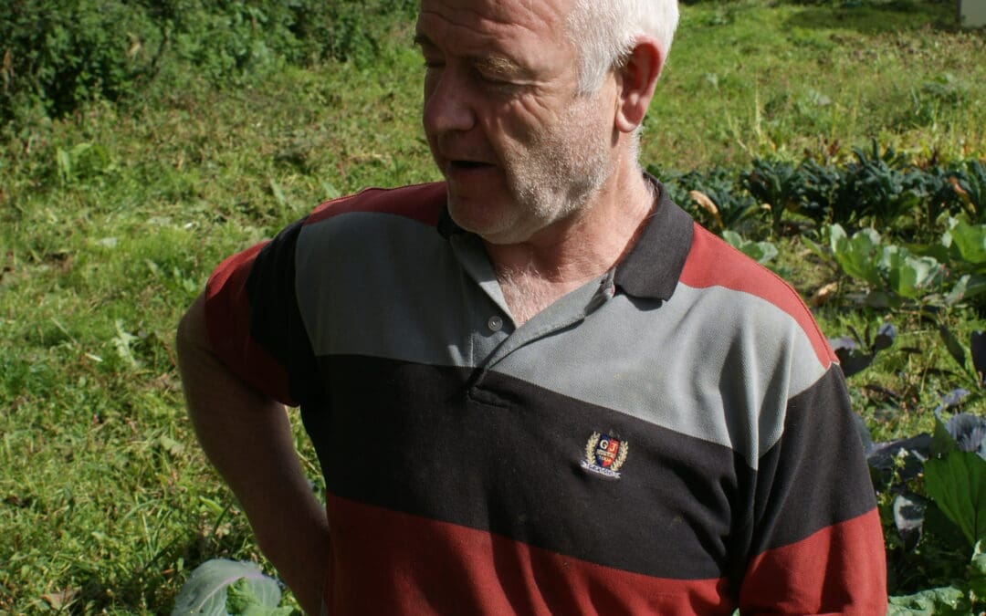 Going Organic in the West of Ireland