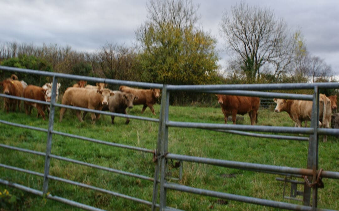 TODAY: final day to complete SCEP training modules 2024