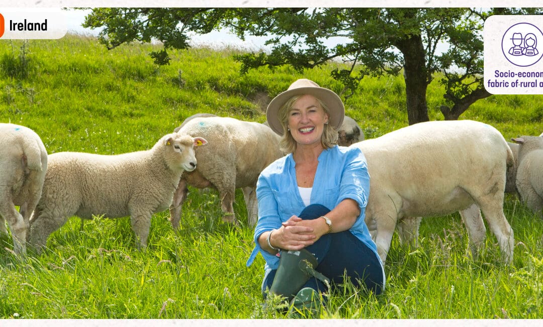 LEADER Supported Galway Wool Co-op Nominated for Prestigious EU Award