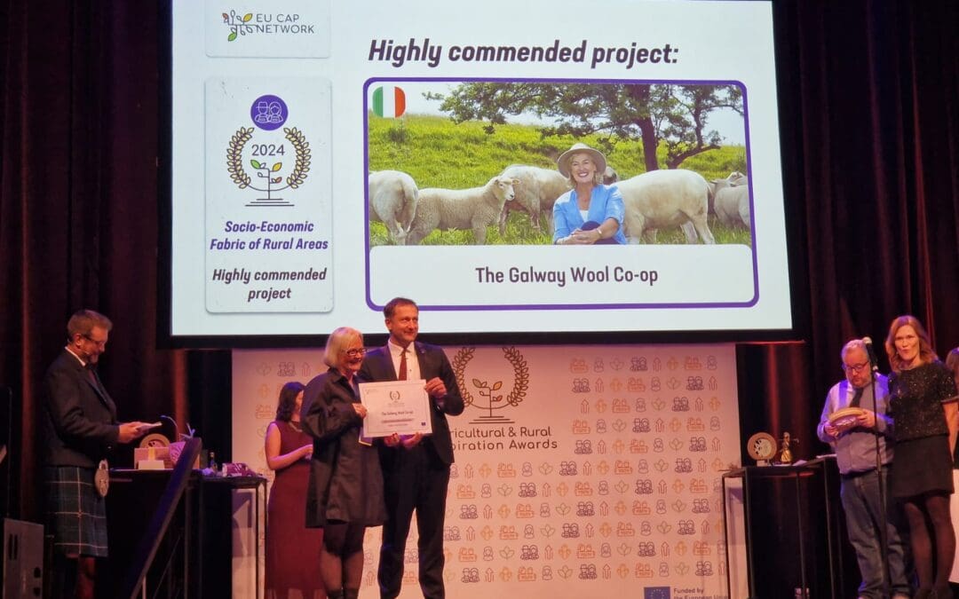 Irish Project Success at Prestigious EU Awards