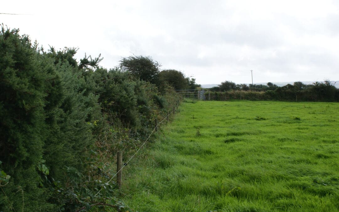 Important Dates for February/March 2025