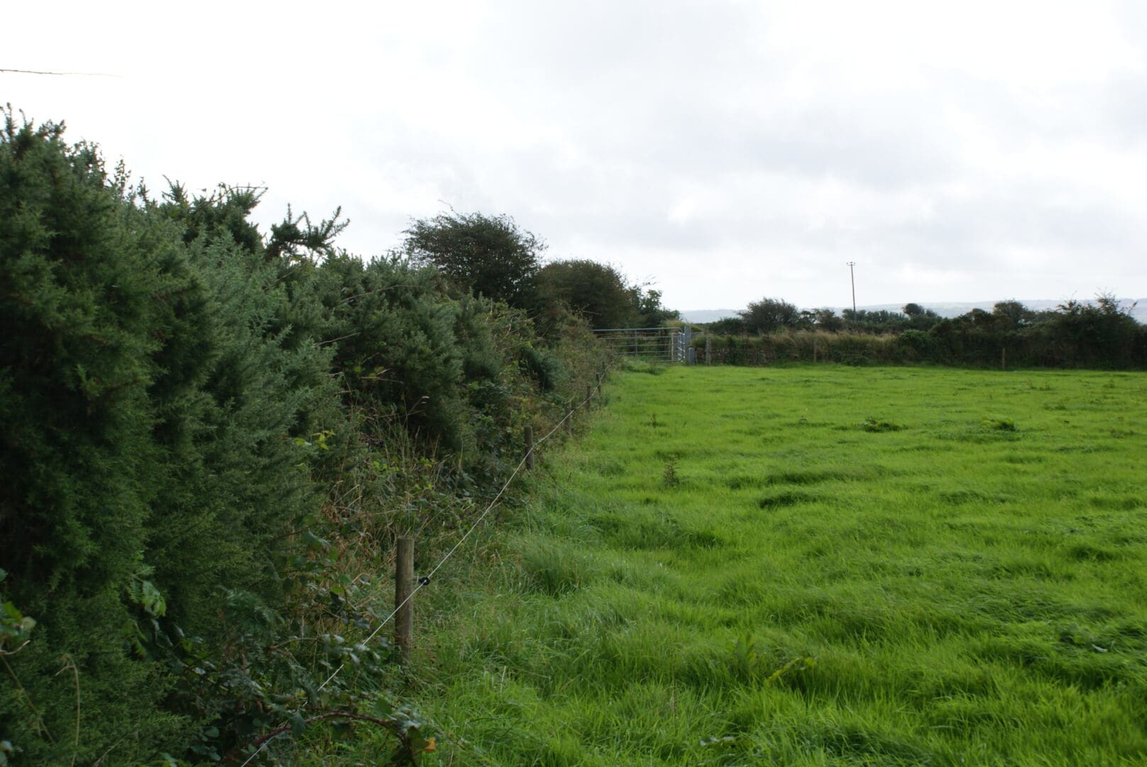 Important Dates for January and February 2025