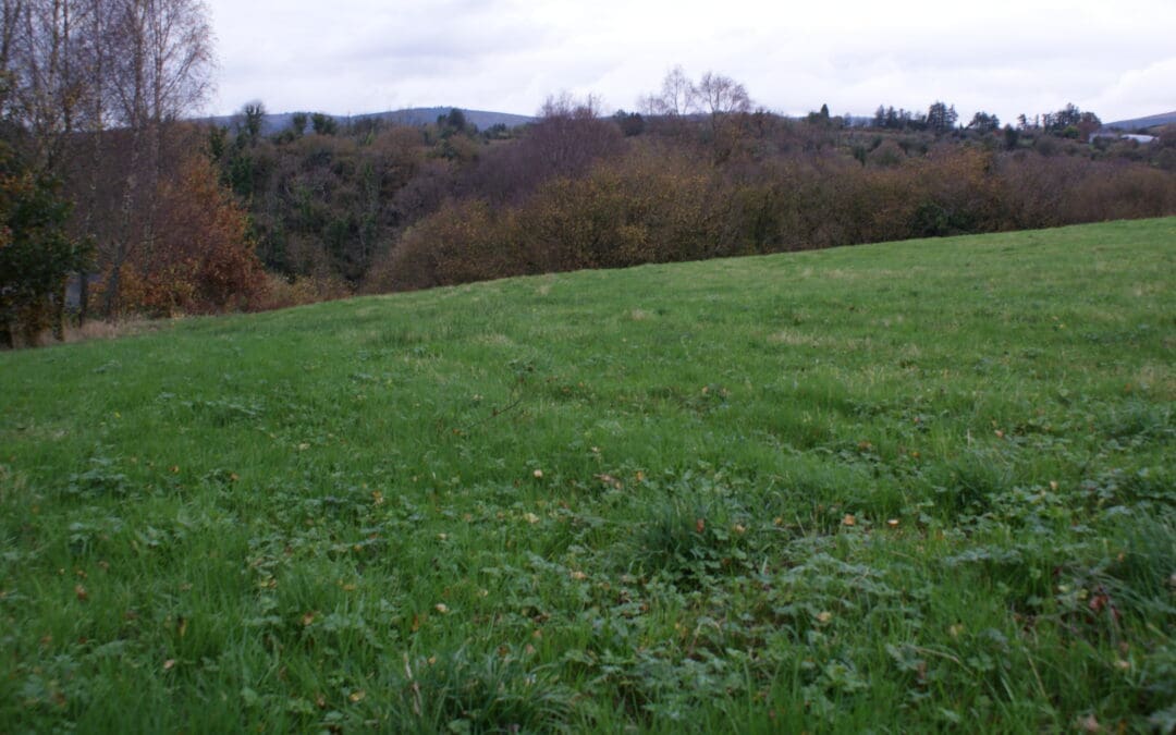 2024 Eco-Scheme Balancing Payments Begin