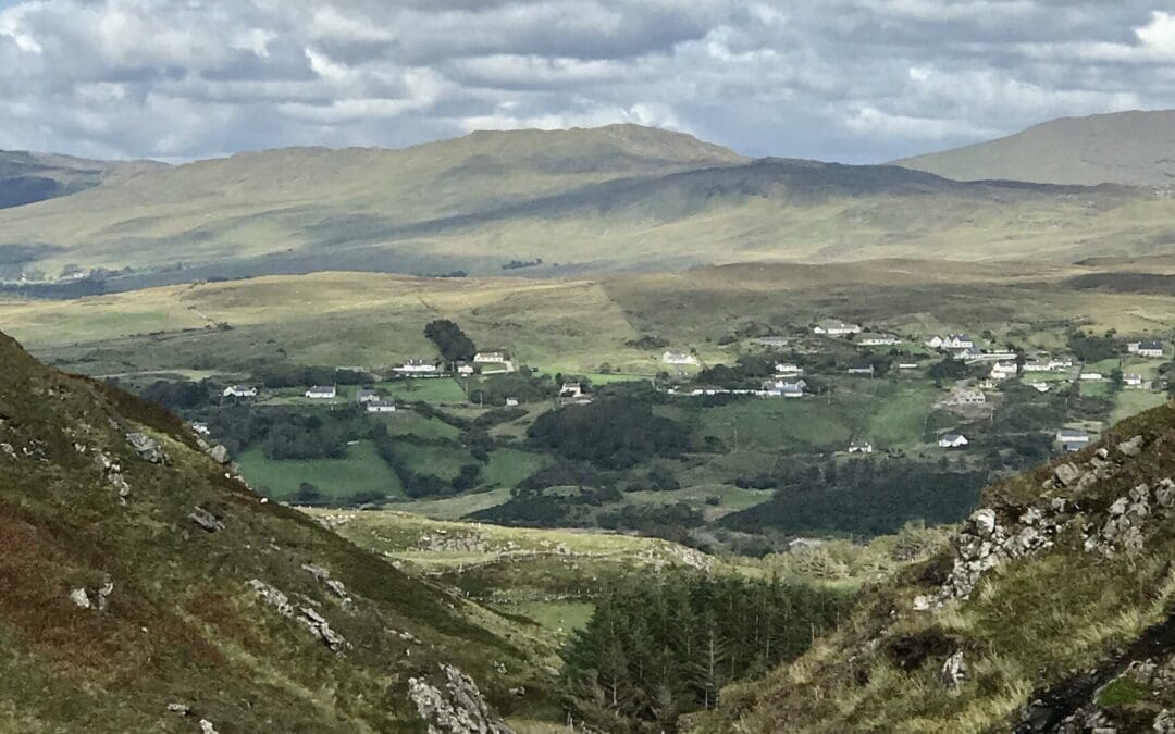 21 New Policy Focused Research Projects Announced