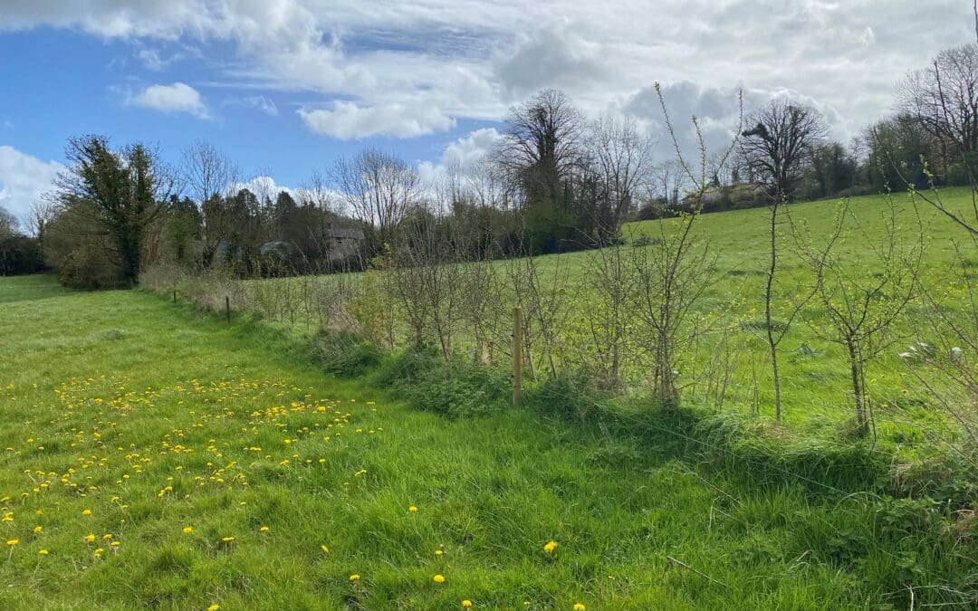 ACRES Cooperation Actions to Begin