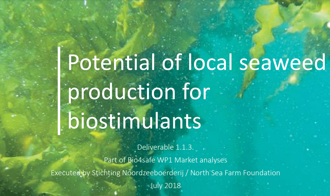 Potential of EU Seaweeds for Application in the Biostimulant Market