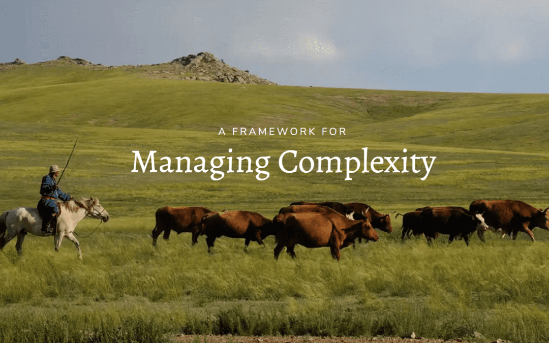 Framework for Holistic Management Decision Making