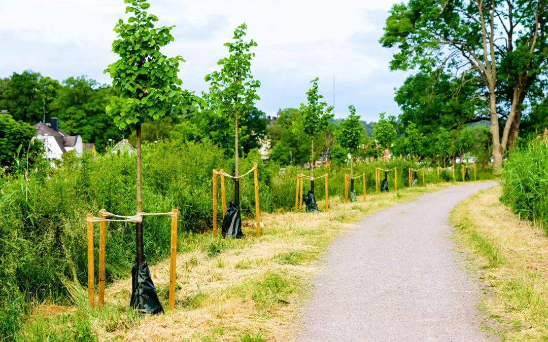 Traceless Project Biodegradable Tree Supports