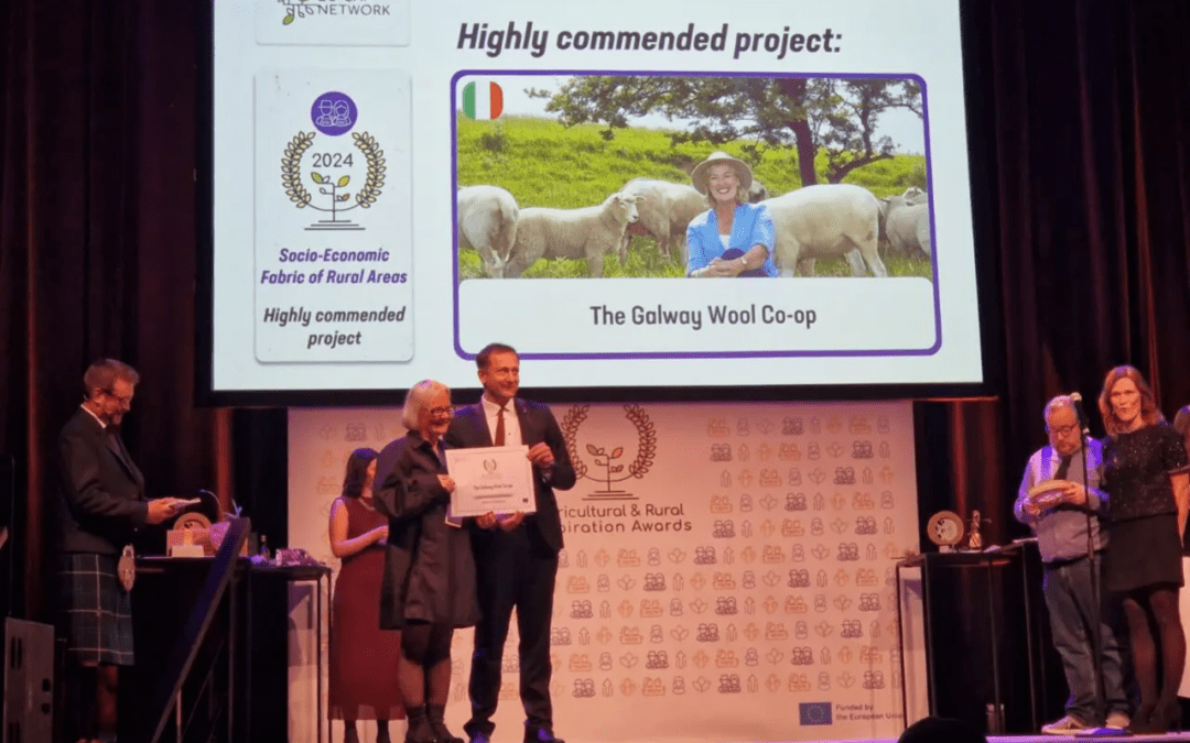 Award Winning LEADER Project: Galway Wool Co-op