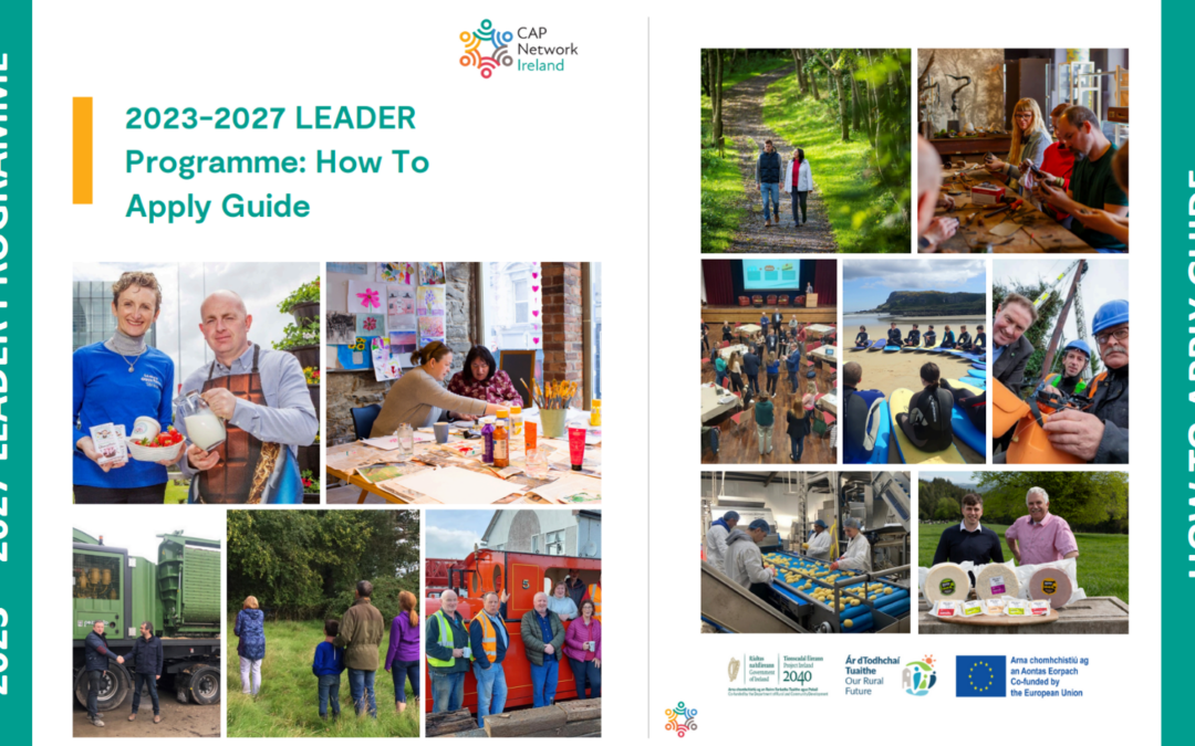 LEADER Programme How To Apply Guide