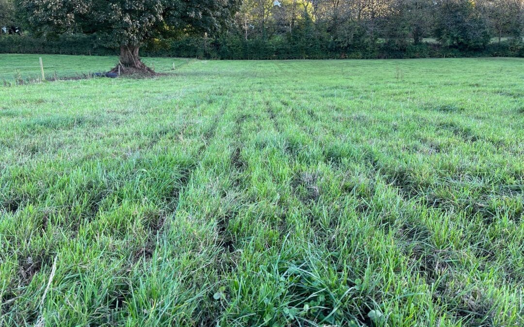 New Organic Nutrient Movement App Now Available