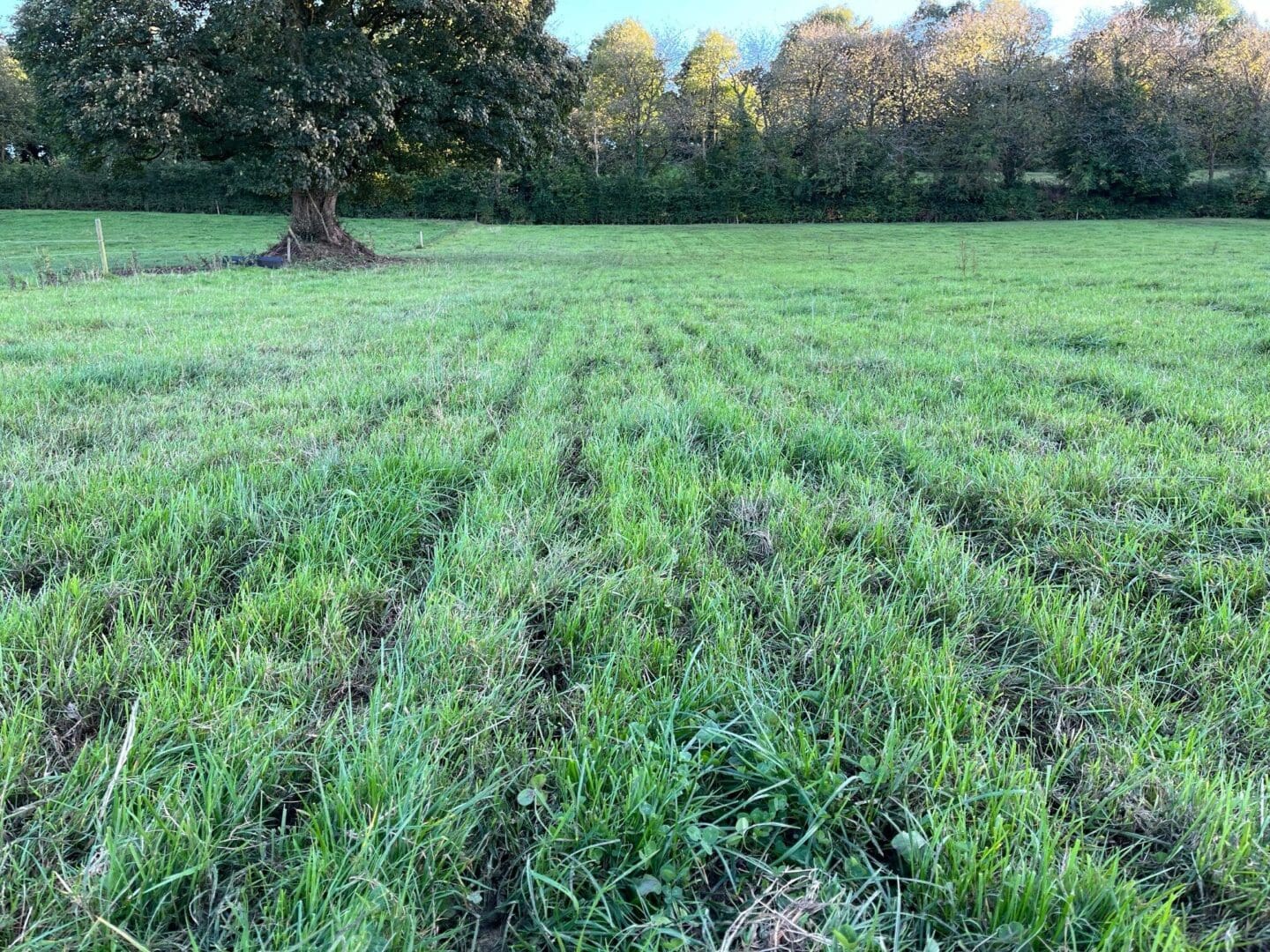 LESS slurry spread in field