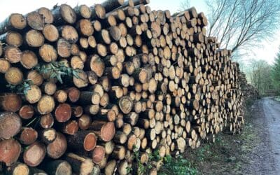 Forestry Knowledge Transfer Group (KTG) Scheme 2025 Opens