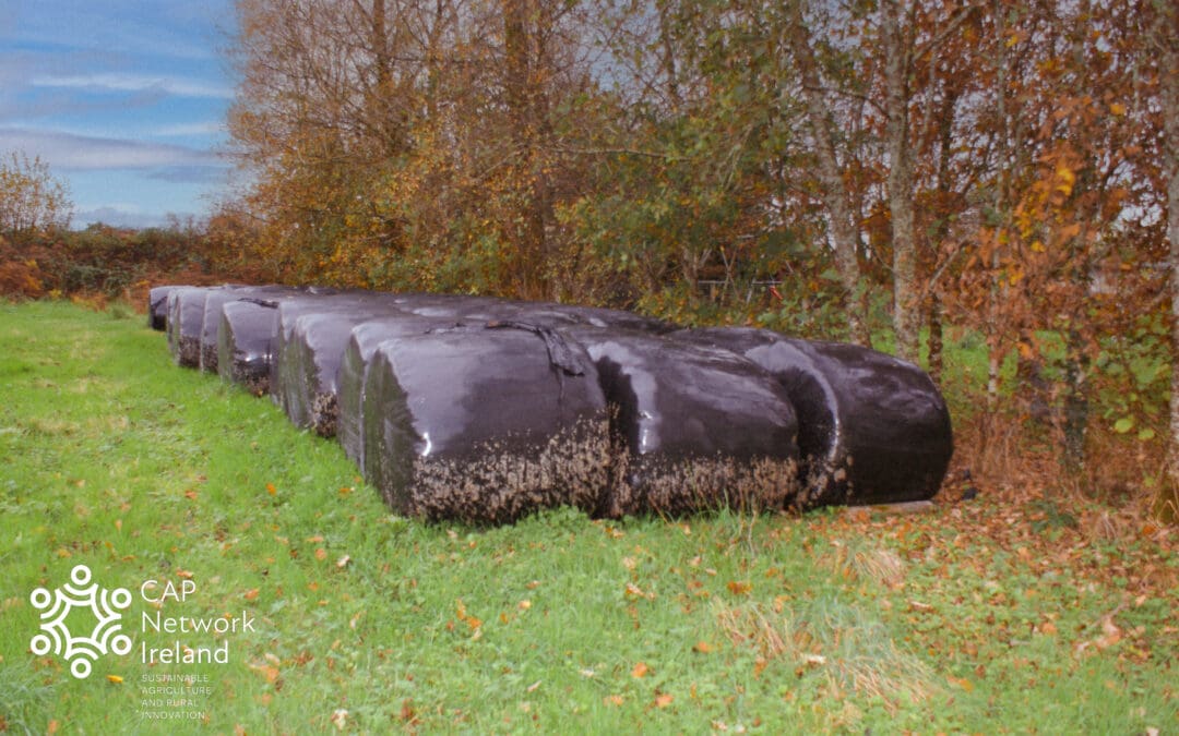 Important Farmer Survey on Agricultural Plastics