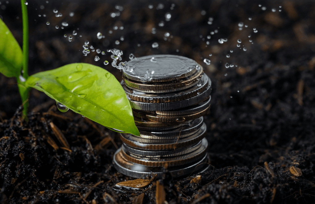 Tillage and Horticulture Support Scheme Payments Begin