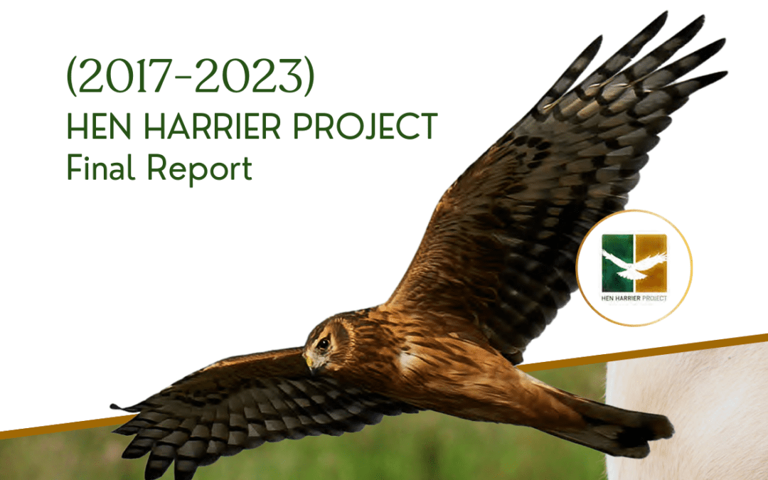 Hen Harrier Project Final Report Now Available