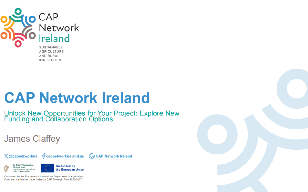 Alternative Funding Streams – Introduction to CAP Network Ireland