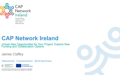 Alternative Funding Streams – Introduction to CAP Network Ireland